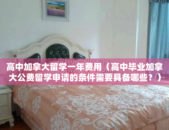 高中加拿大留学一年费用（高中毕业加拿大公费留学申请的条件需要具备哪些？）