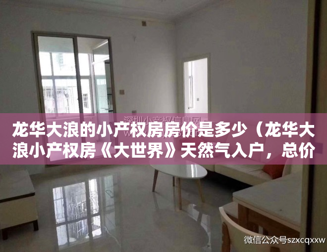 龙华大浪的小产权房房价是多少（龙华大浪小产权房《大世界》天然气入户，总价358万套起）