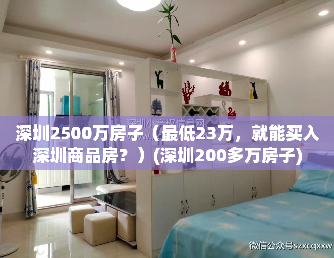 深圳2500万房子（最低23万，就能买入深圳商品房？）(深圳200多万房子)