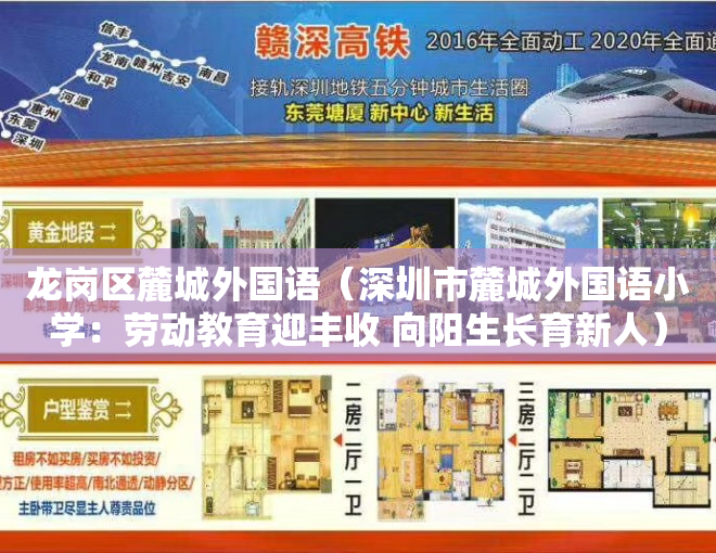 龙岗区麓城外国语（深圳市麓城外国语小学：劳动教育迎丰收 向阳生长育新人）