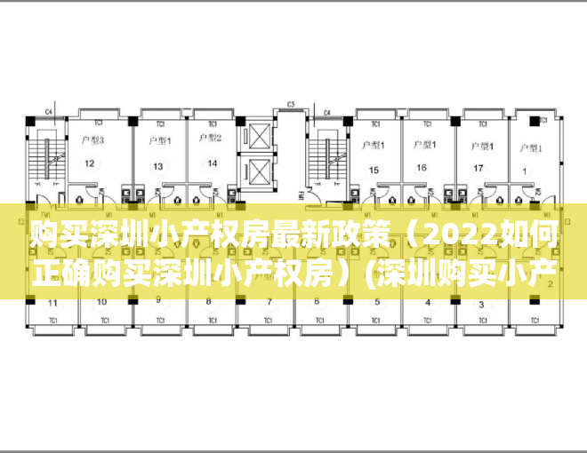 购买深圳小产权房最新政策（2022如何正确购买深圳小产权房）(深圳购买小产权房需要什么条件)