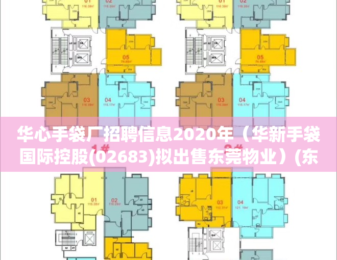 华心手袋厂招聘信息2020年（华新手袋国际控股(02683)拟出售东莞物业）(东莞华心塑胶制品厂怎么样)