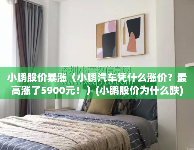 小鹏股价暴涨（小鹏汽车凭什么涨价？最高涨了5900元！）(小鹏股价为什么跌)