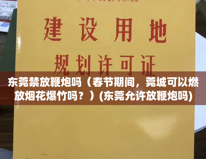 东莞禁放鞭炮吗（春节期间，莞城可以燃放烟花爆竹吗？）(东莞允许放鞭炮吗)