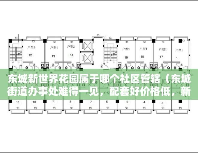 东城新世界花园属于哪个社区管辖（东城街道办事处难得一见，配套好价格低，新世纪河畔广场小区评测）