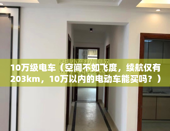 10万级电车（空间不如飞度，续航仅有203km，10万以内的电动车能买吗？）(10万内电动车哪个好?)