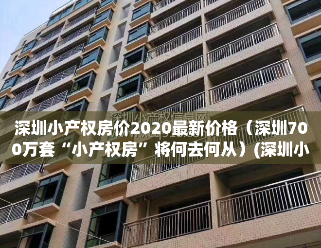 深圳小产权房价2020最新价格（深圳700万套“小产权房”将何去何从）(深圳小产权房价格走势分析)