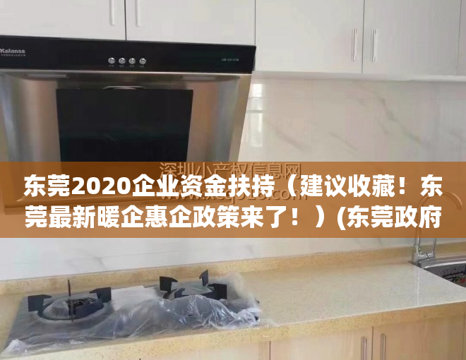 东莞2020企业资金扶持（建议收藏！东莞最新暖企惠企政策来了！）(东莞政府补助项目)