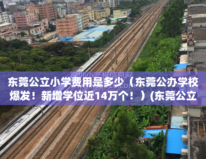 东莞公立小学费用是多少（东莞公办学校爆发！新增学位近14万个！）(东莞公立小学有哪些费用)