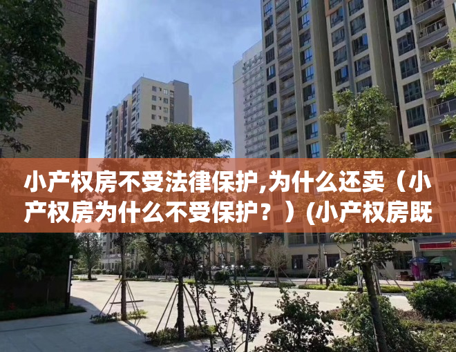 小产权房不受法律保护,为什么还卖（小产权房为什么不受保护？）(小产权房既然不合法为何还可以买卖)