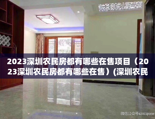 2023深圳农民房都有哪些在售项目（2023深圳农民房都有哪些在售）(深圳农民房未来走向)