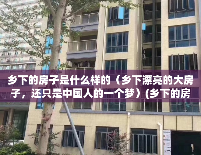 乡下的房子是什么样的（乡下漂亮的大房子，还只是中国人的一个梦）(乡下的房子作文)