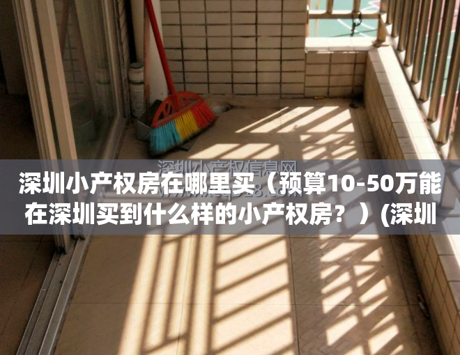 深圳小产权房在哪里买（预算10-50万能在深圳买到什么样的小产权房？）(深圳小产权房在哪里有房源)