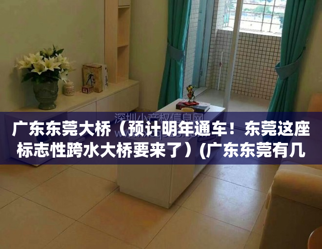 广东东莞大桥（预计明年通车！东莞这座标志性跨水大桥要来了）(广东东莞有几个大桥)