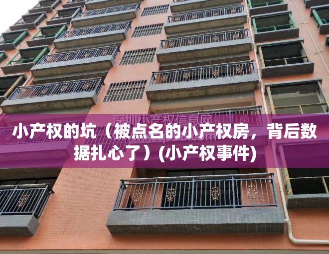 小产权的坑（被点名的小产权房，背后数据扎心了）(小产权事件)