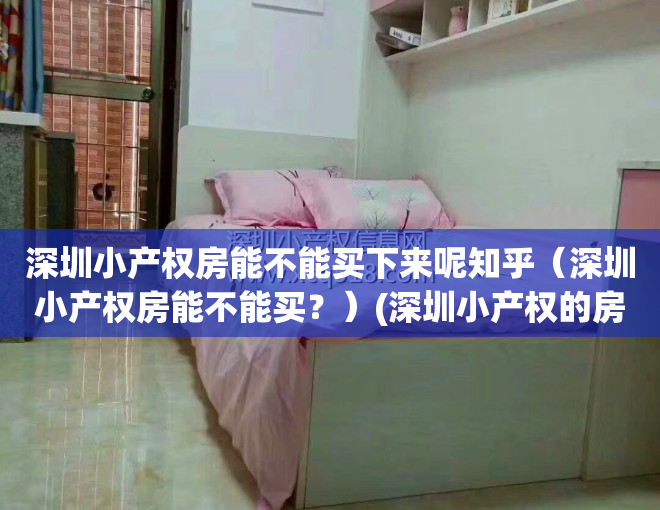 深圳小产权房能不能买下来呢知乎（深圳小产权房能不能买？）(深圳小产权的房子能买吗,自己住有保障吗?)