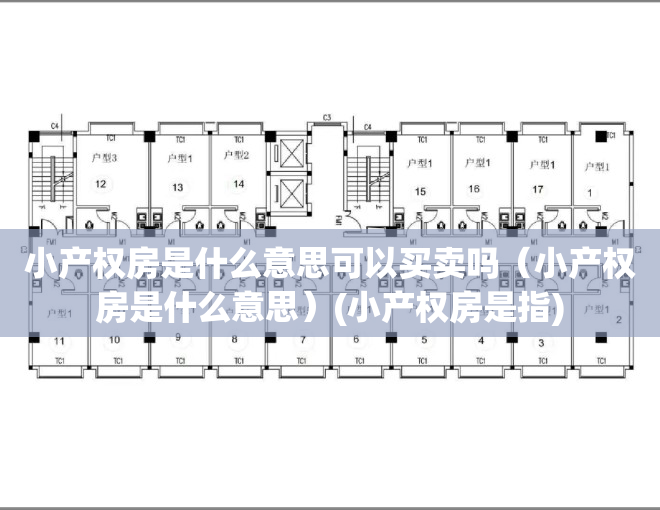 小产权房是什么意思可以买卖吗（小产权房是什么意思）(小产权房是指)