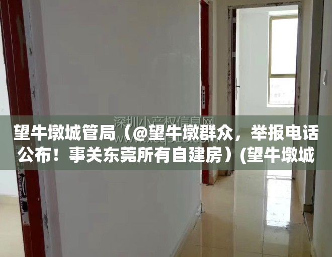 望牛墩城管局（@望牛墩群众，举报电话公布！事关东莞所有自建房）(望牛墩城管分局)