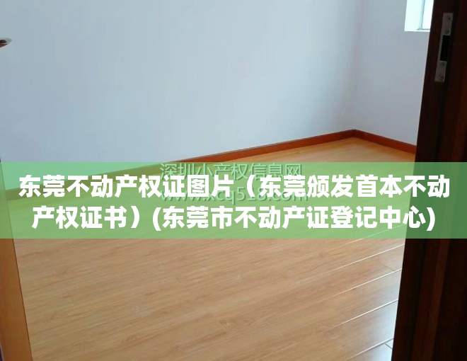东莞不动产权证图片（东莞颁发首本不动产权证书）(东莞市不动产证登记中心)