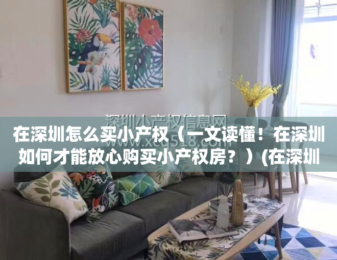 在深圳怎么买小产权（一文读懂！在深圳如何才能放心购买小产权房？）(在深圳买小产权房需要什么条件)