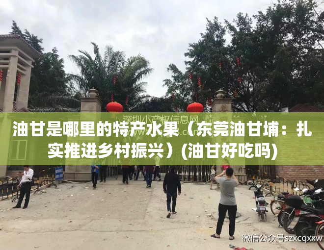 油甘是哪里的特产水果（东莞油甘埔：扎实推进乡村振兴）(油甘好吃吗)