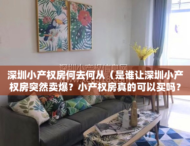 深圳小产权房何去何从（是谁让深圳小产权房突然卖爆？小产权房真的可以买吗？）