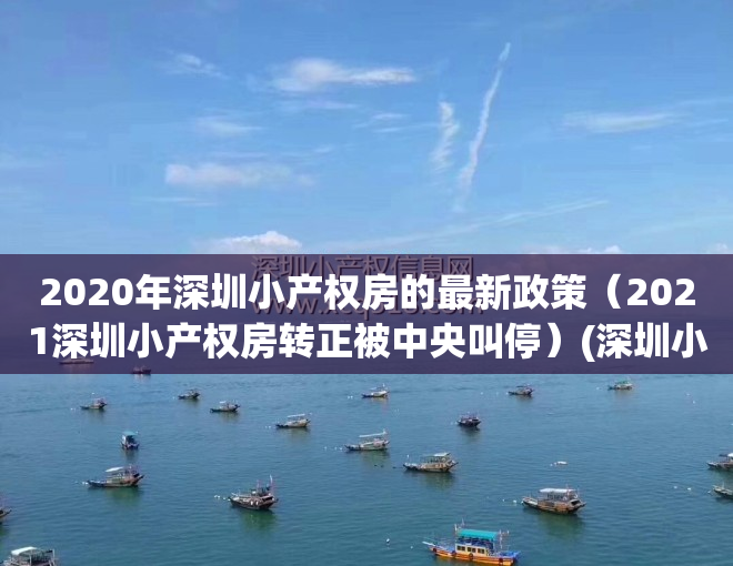 2020年深圳小产权房的最新政策（2021深圳小产权房转正被中央叫停）(深圳小产权房最新政策2021两会)