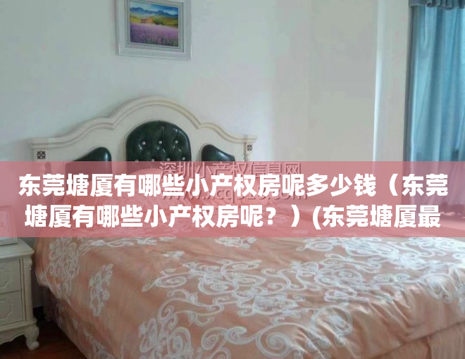 东莞塘厦有哪些小产权房呢多少钱（东莞塘厦有哪些小产权房呢？）(东莞塘厦最好的小产权房是哪个)