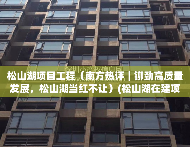 松山湖项目工程（南方热评｜铆劲高质量发展，松山湖当红不让）(松山湖在建项目)