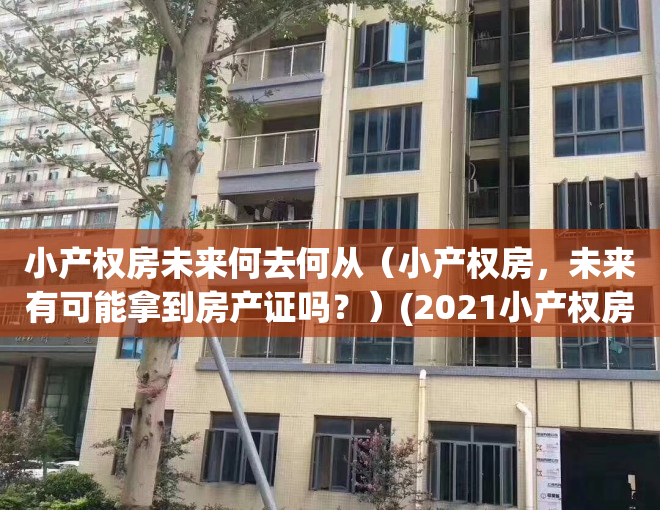 小产权房未来何去何从（小产权房，未来有可能拿到房产证吗？）(2021小产权房会解决吗)