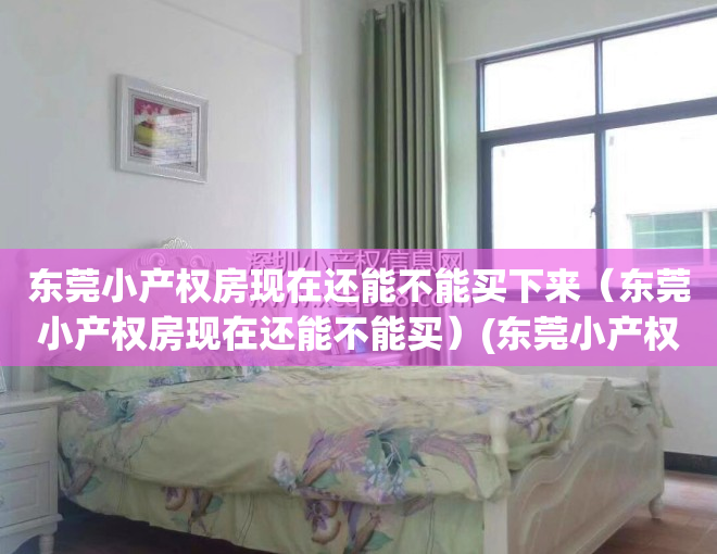 东莞小产权房现在还能不能买下来（东莞小产权房现在还能不能买）(东莞小产权房可以买吗?产权房)