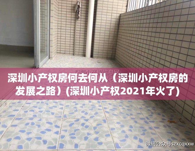 深圳小产权房何去何从（深圳小产权房的发展之路）(深圳小产权2021年火了)