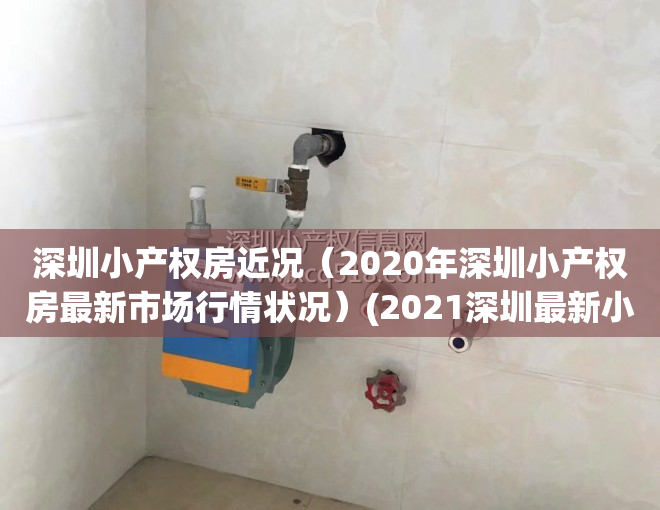 深圳小产权房近况（2020年深圳小产权房最新市场行情状况）(2021深圳最新小产权房)