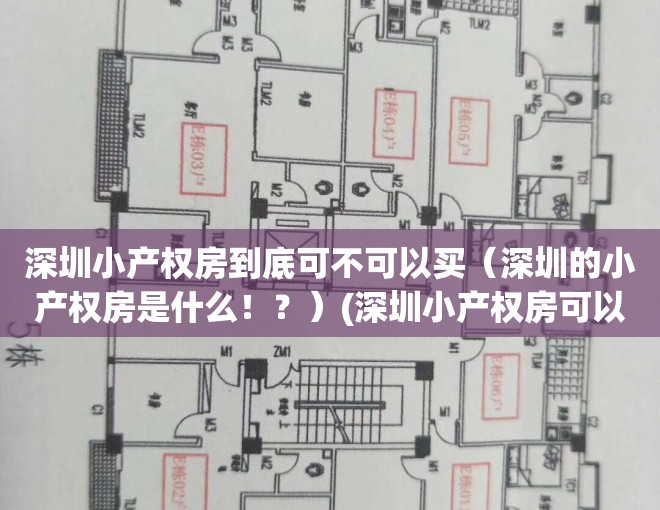 深圳小产权房到底可不可以买（深圳的小产权房是什么！？）(深圳小产权房可以买吗?)