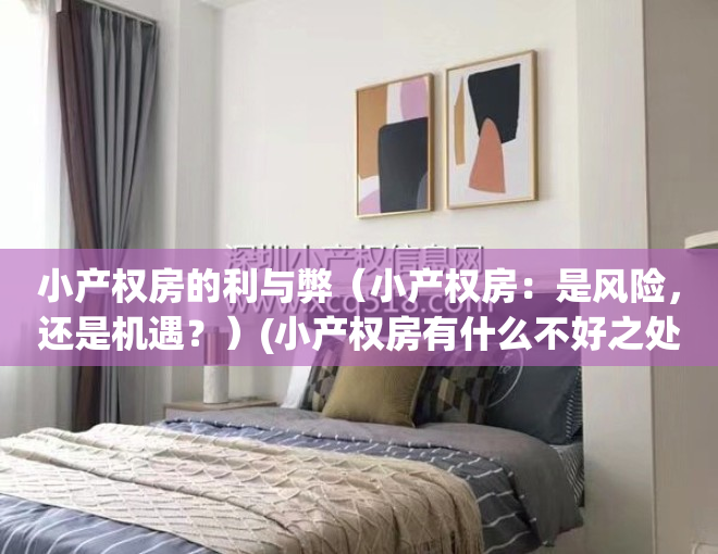 小产权房的利与弊（小产权房：是风险，还是机遇？）(小产权房有什么不好之处)