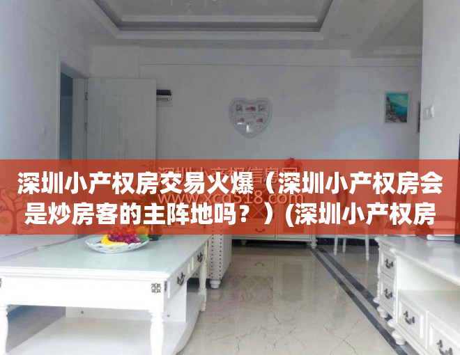 深圳小产权房交易火爆（深圳小产权房会是炒房客的主阵地吗？）(深圳小产权房何去何从)