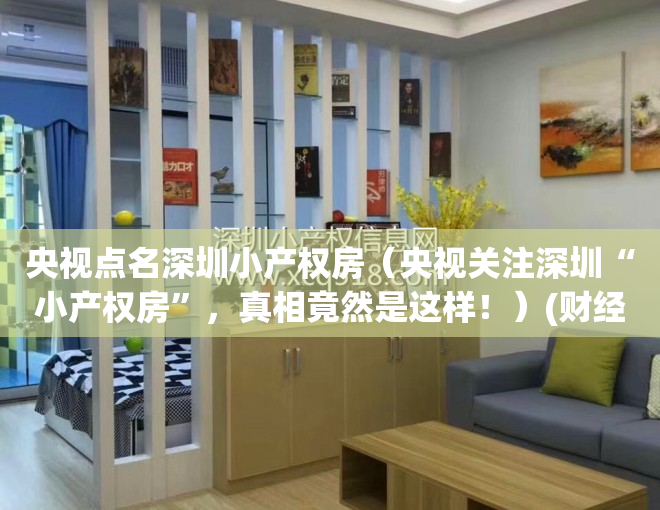 央视点名深圳小产权房（央视关注深圳“小产权房”，真相竟然是这样！）(财经新闻深圳小产权)