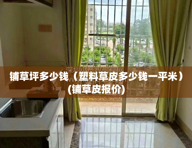 铺草坪多少钱（塑料草皮多少钱一平米）(铺草皮报价)