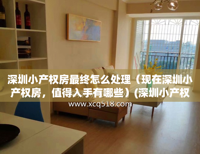 深圳小产权房最终怎么处理（现在深圳小产权房，值得入手有哪些）(深圳小产权房子最新政策2021)