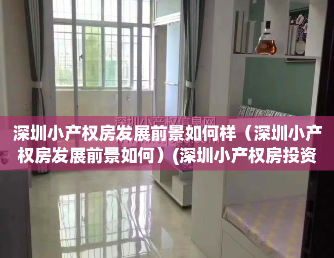 深圳小产权房发展前景如何样（深圳小产权房发展前景如何）(深圳小产权房投资价值洼地)