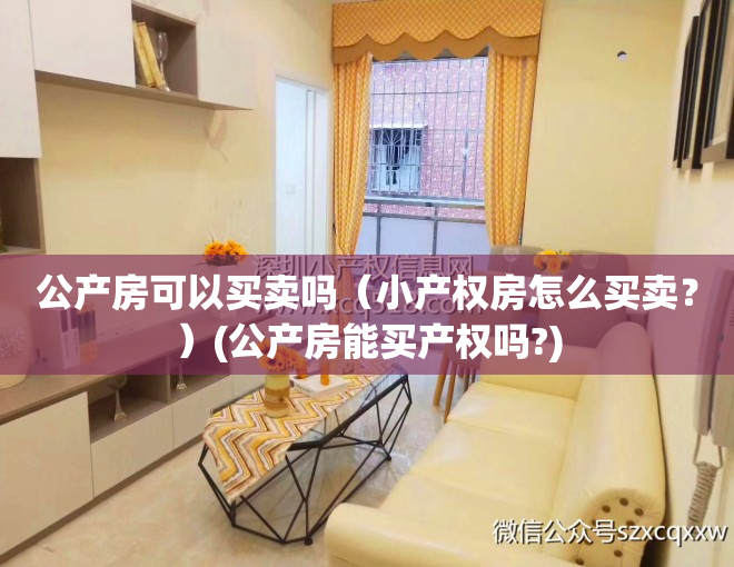 公产房可以买卖吗（小产权房怎么买卖？）(公产房能买产权吗?)