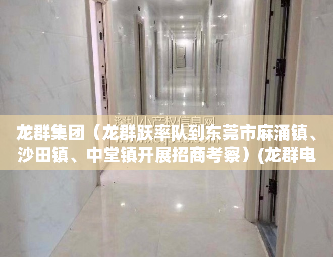 龙群集团（龙群跃率队到东莞市麻涌镇、沙田镇、中堂镇开展招商考察）(龙群电器)
