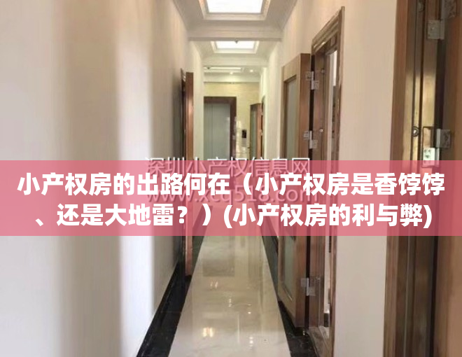 小产权房的出路何在（小产权房是香饽饽、还是大地雷？）(小产权房的利与弊)