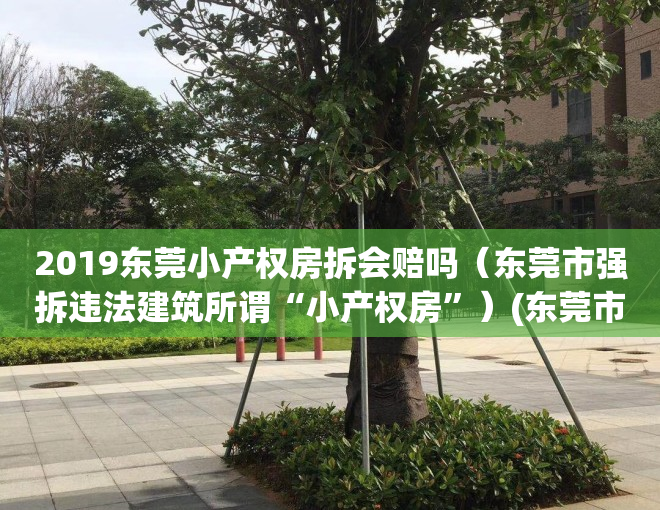 2019东莞小产权房拆会赔吗（东莞市强拆违法建筑所谓“小产权房”）(东莞市小产权房最新政策2018)