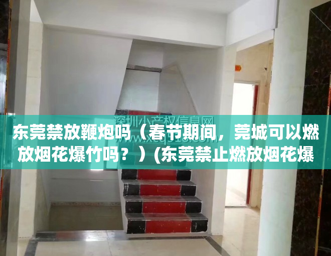 东莞禁放鞭炮吗（春节期间，莞城可以燃放烟花爆竹吗？）(东莞禁止燃放烟花爆竹)