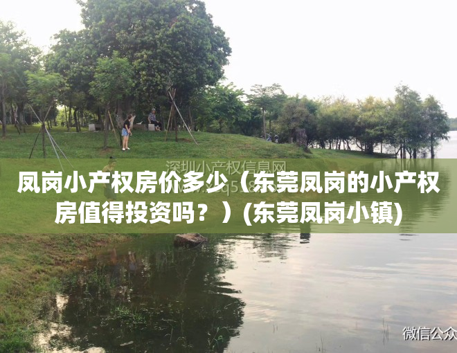 凤岗小产权房价多少（东莞凤岗的小产权房值得投资吗？）(东莞凤岗小镇)