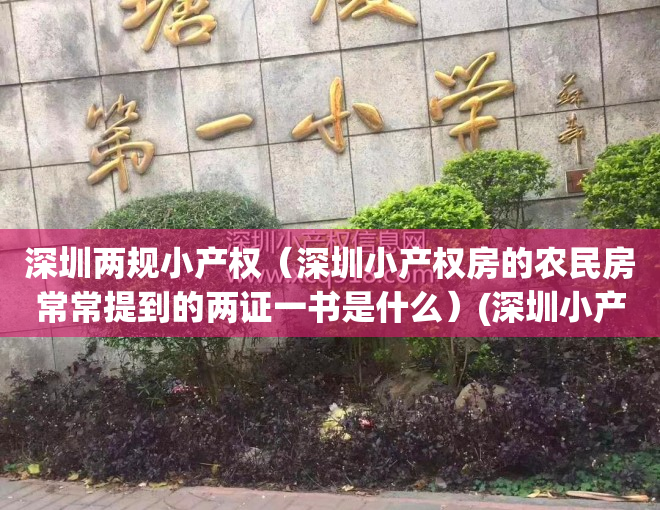 深圳两规小产权（深圳小产权房的农民房常常提到的两证一书是什么）(深圳小产权两规和三规的区别)