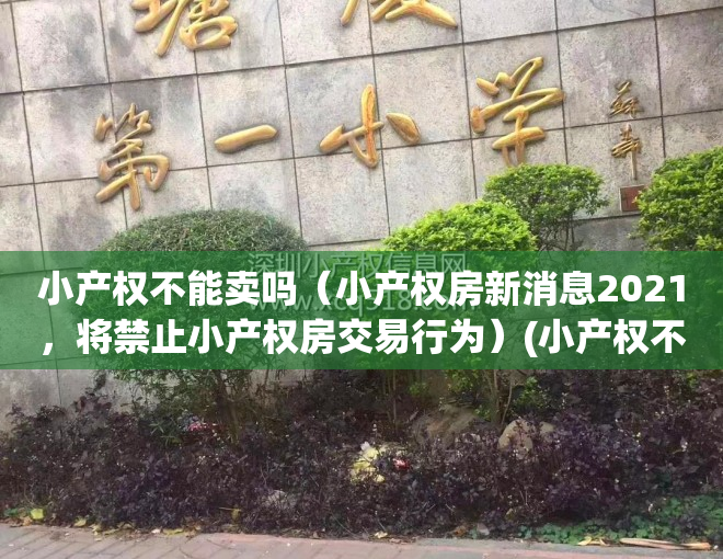 小产权不能卖吗（小产权房新消息2021，将禁止小产权房交易行为）(小产权不可以买卖吗)