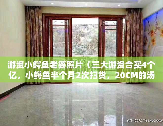游资小鳄鱼老婆照片（三大游资合买4个亿，小鳄鱼半个月2次扫货，20CM的汤姆猫还能继续新高吗？）