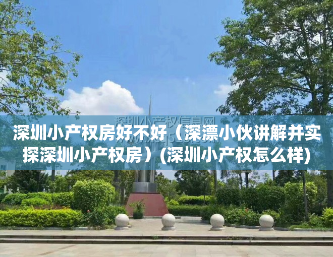 深圳小产权房好不好（深漂小伙讲解并实探深圳小产权房）(深圳小产权怎么样)